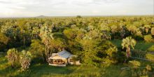 The lush setting dotted with palms at Chem Chem Lodge, Lake Manyara National Park, Tanzania