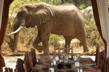 Chiawa Camp, Lower Zambezi National Park, Zambia