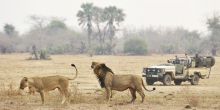 Chiawa Camp, Lower Zambezi National Park, Zambia