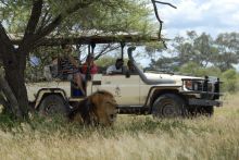 Chiefs Camp, Moremi Game Reserve, Botswana