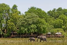 Chiefs Camp, Moremi Game Reserve, Botswana