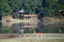 Chindeni Bush Camp, South Luangwa National Park, Zambia