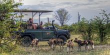 Chitabe Lediba Camp, Moremi Game Reserve, Botswana