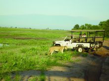 Chobe Safari Lodge, Chobe National Park, Botswana