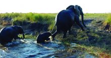 Chobe Safari Lodge, Chobe National Park, Botswana