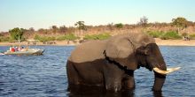 Chobe Safari Lodge, Chobe National Park, Botswana