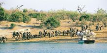 Chobe boat cruise