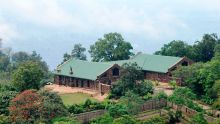 Clouds Mountain Gorilla Lodge, Bwindi Impenetrable Forest, Uganda