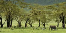 Entamanu Ngorongoro, Ngorongoro Crater, Tanzania