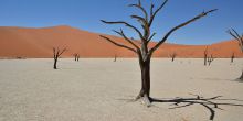 Kulala Desert Lodge, Sossusvlei, Namibia