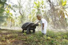 Meeting a turtle at Desroches Island Resort, Desroches Island, Seychelles