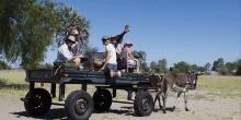 Donkey Cart to the village from Leroo Le Tau