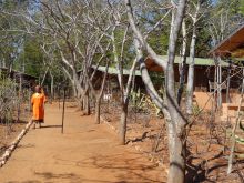 The grounds at Berenty Lodge, Berenty Reserve, Madagascar (Mango Staff photo)