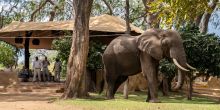 Chongwe River Camp, Lower Zambezi National Park, Zambia