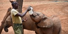 Reteti Elephant Sanctuary