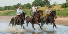 Mashatu Lodge, Mashatu Game Reserve, Botswana