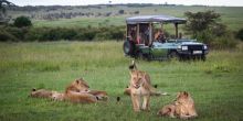 Mara Plains Camp, Masai Mara National Reserve, Kenya