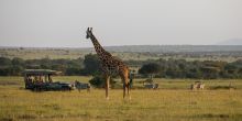 Mara Plains Camp, Masai Mara National Reserve, Kenya