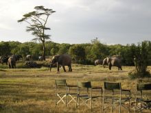 Elephants at sundowners- Ol Pejeta Bush Camp, Ol Pejeta Reserve, Kenya