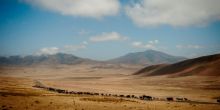 Entamanu Ngorongoro 