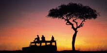 Elephant Pepper Camp, Masai Mara National Reserve, Kenya