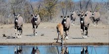 Etosha Mountain Lodge, Etosha National Park, Namibia