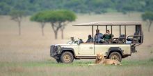 Singita Explore game drive