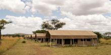 Serengeti Kati Kati Camp