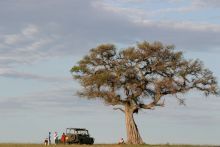 Game drive at Richard's Camp, Masai Mara National Reserve, Kenya