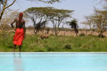 Pool and wildlife at Sirikoi, Lewa Conservancy, Kenya