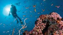 Four Seasons Explorers, North Male Atoll, Maldives