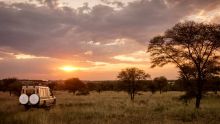 Bring out your adventurous side with a thrilling game drive at The Four Seasons Safari Lodge, Serengeti National Park, Tanzania