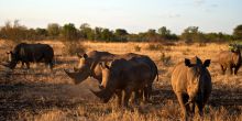 Singita Serengeti House, Serengeti Grumeti Reserves, Tanzania