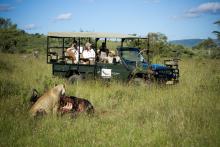 Game drive at Kleins Camp, Serengeti National Park, Tanzania Â© AndBeyond