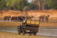 Game drive at Kakuli Bush Camp, South Luangwa National Park, Zambia