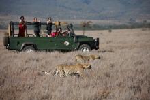 Game drive at Sirikoi, Lewa Conservancy, Kenya