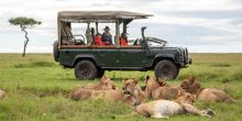 Game drive