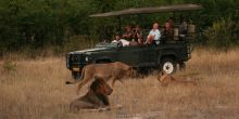 Camp Hwange - Game drive