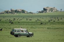 Game drive during migration at Lamai Serengeti, Serengeti National Park, Tanzania