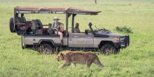 Cherero Camp Game Drive