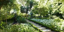 The exotic, lush gardens at Delaire Graff, Stellenbosch, South Africa