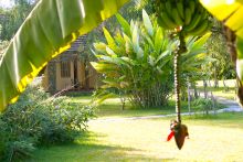 Gardens at Arumeru River Lodge, Arusha, Tanzania