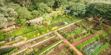 Gibbs Farm, Karatu, Tanzania