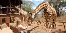 The Giraffe Center - Macushla House, Nairobi, Kenya