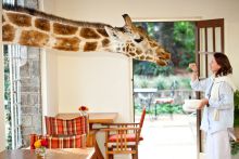 Giraffe Manor, Nairobi, Kenya