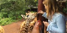 Giraffe Sanctuary 