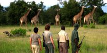 Zungulila Bushcamp, South Luangwa National Park, Zambia