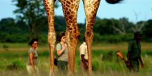 Zungulila Bushcamp, South Luangwa National Park, Zambia