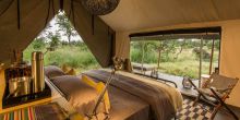 Gomoti Plains Camp