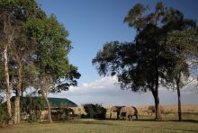 Governors Main Camp, Masai Mara National Reserve, Kenya